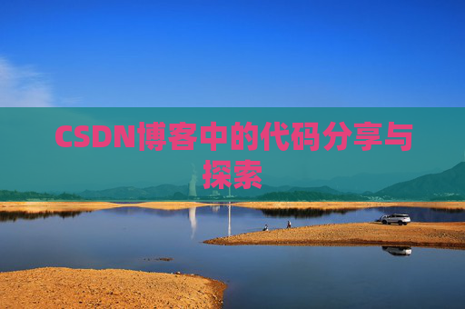 CSDN博客中的代码分享与探索